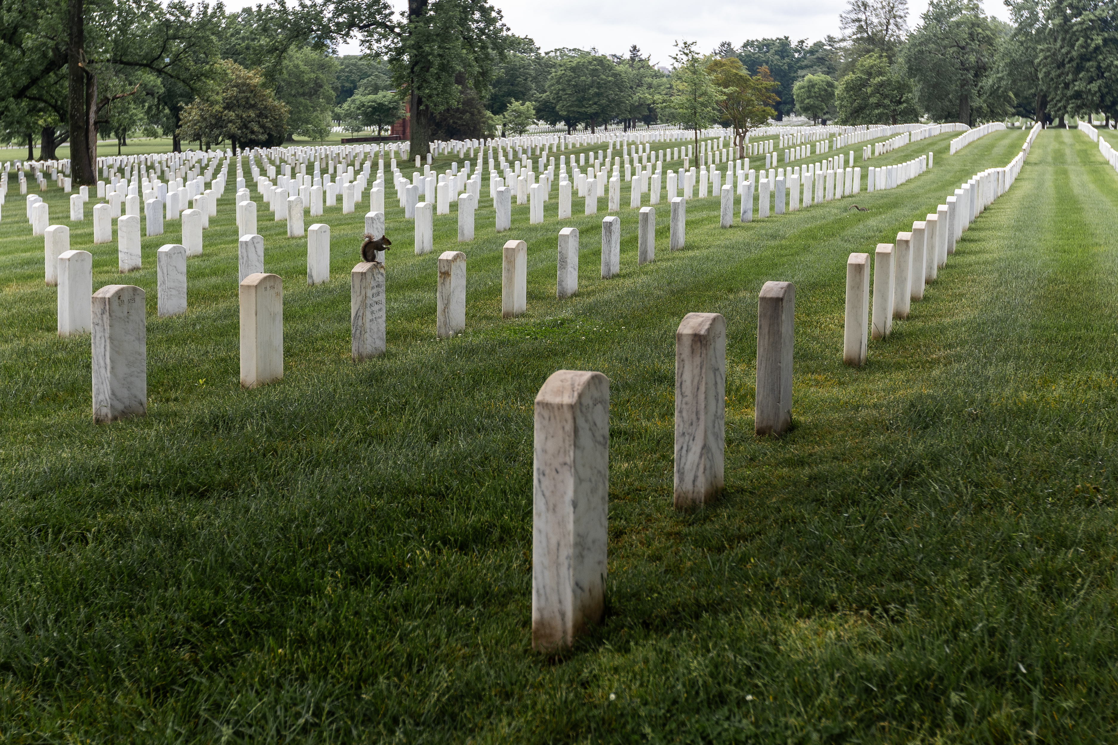 Rows of identical white marble headstones stretching across a green lawn